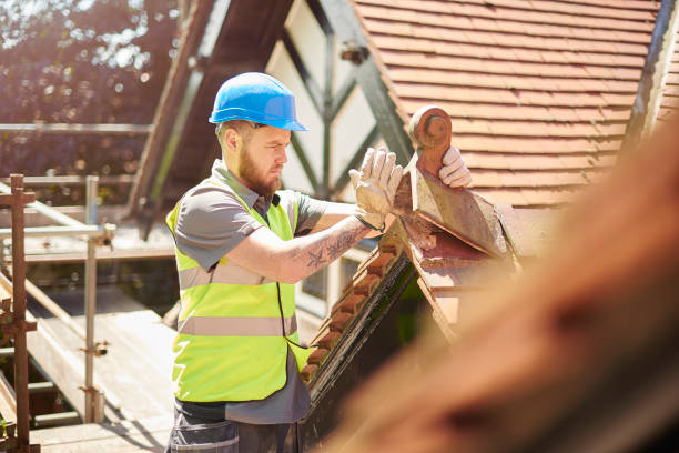 Best Flat Roof Repair Services  in Princeton Junction, NJ
